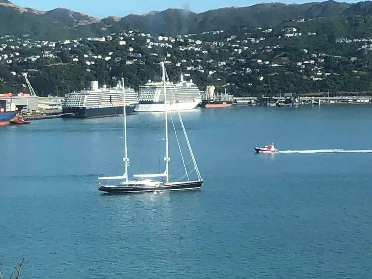 Incredible Views! Luxurious Studio & Outdoor Living Wellington 0*,