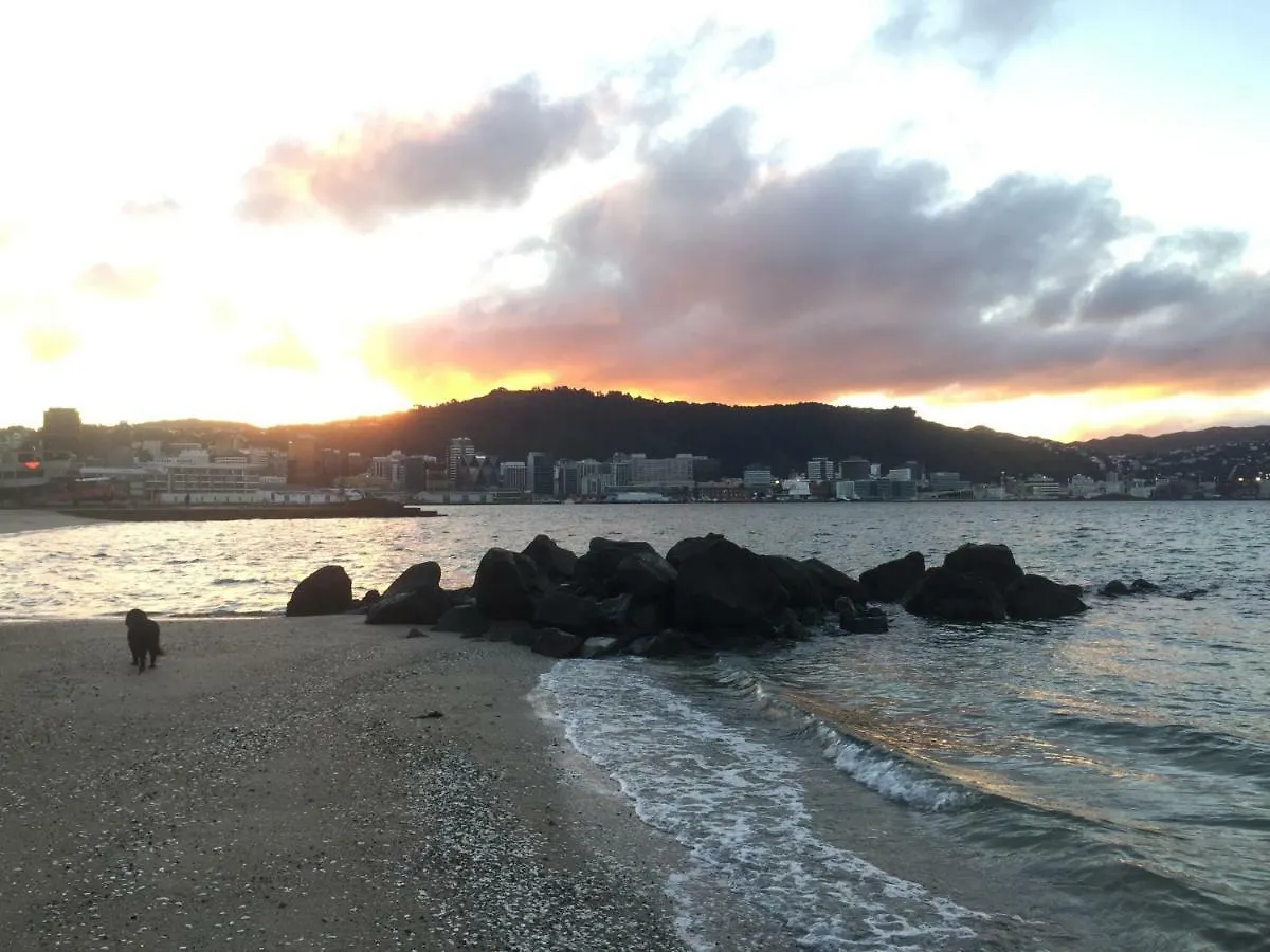 Incredible Views! Luxurious Studio & Outdoor Living Wellington Rum i privatbostad